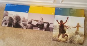 SeaWorld Teases New Attractions - OceanRadiance