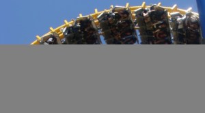 Nighthawk at Carowinds