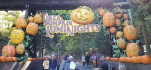 Luminights 2019 - Dollywood - Entrance