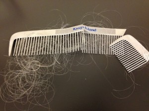 Kings Island - 2014 Roller Coaster Hint - Banshee Comb