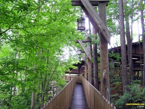 Grizzly Kings Dominion - Roller Coaster Review - Queue
