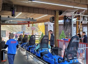 The Coaster Goats on the Roof - Station