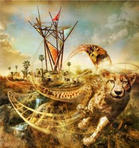 Cheetah Hunt Roller Coaster - Busch Gardens Tampa 2011