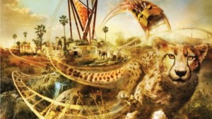Cheetah Hunt - Busch Gardens Tampa 2011