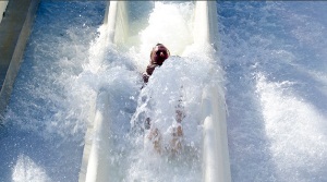 Bert Bombay Wet N Wild Florida