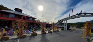 The Coaster Goats on the Roof - Mountain Coaster