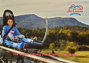 The Coaster at Goats on the Roof - Pigeon Forge Mountain Coaster