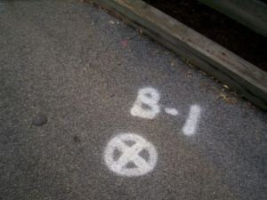 Hersheypark Survey Markings